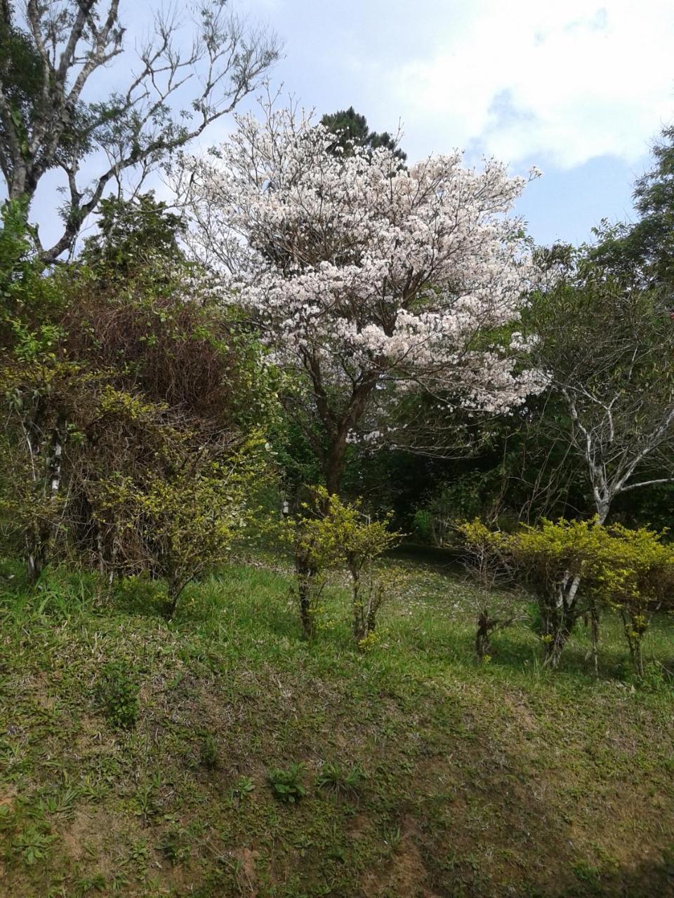 Pousada Recanto Aguas Vivas Turvo dos Gois 외부 사진